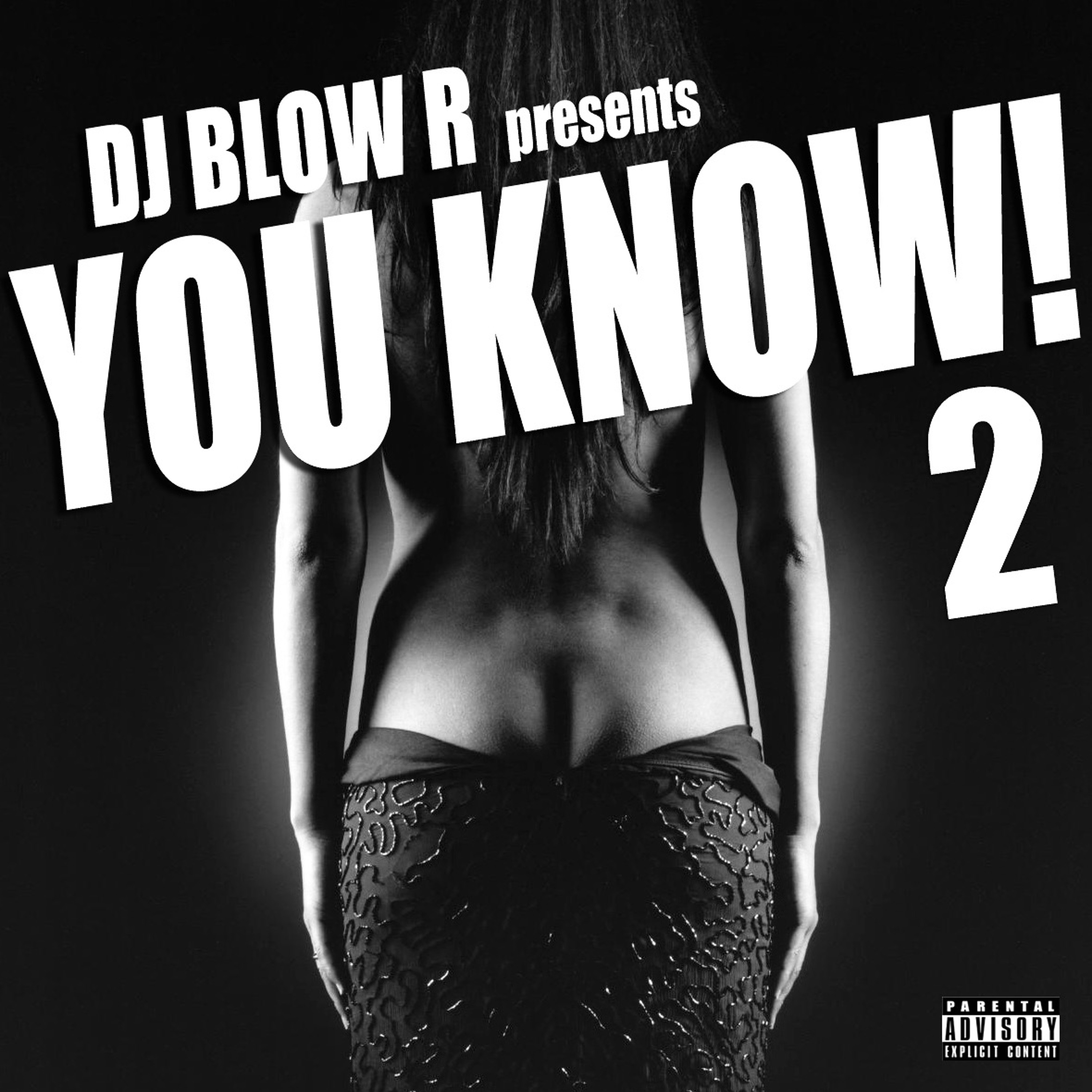 DJ BLOW R - YOU KNOW! VOL2 (2014)