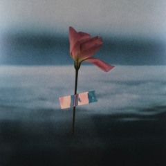 Will Samson - Flowerbed (S Carey Remix)