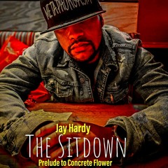 Jay Hardy - Napoleon Complex (GTA Vicey).mp3