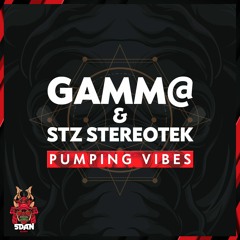 GAMM@ & STZ STEREOTEK - PUMPING VIBES