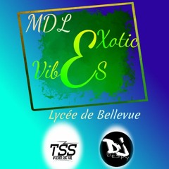 Dj Despy x Exoticvibes - Voté Ba Yo