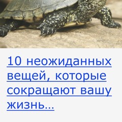 10 неожиданных вещей, которые сокращают вашу жизнь