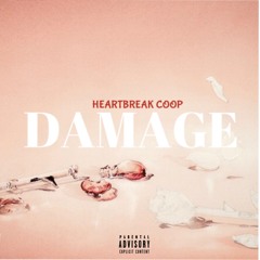 Damage