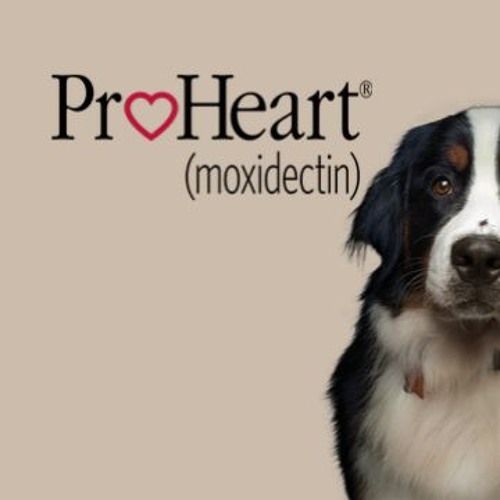 Proheart hotsell for cats