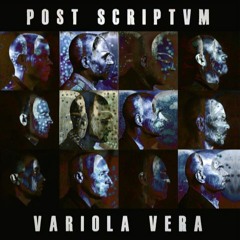 Post Scriptvm - Fondamenta Degli Incurabili