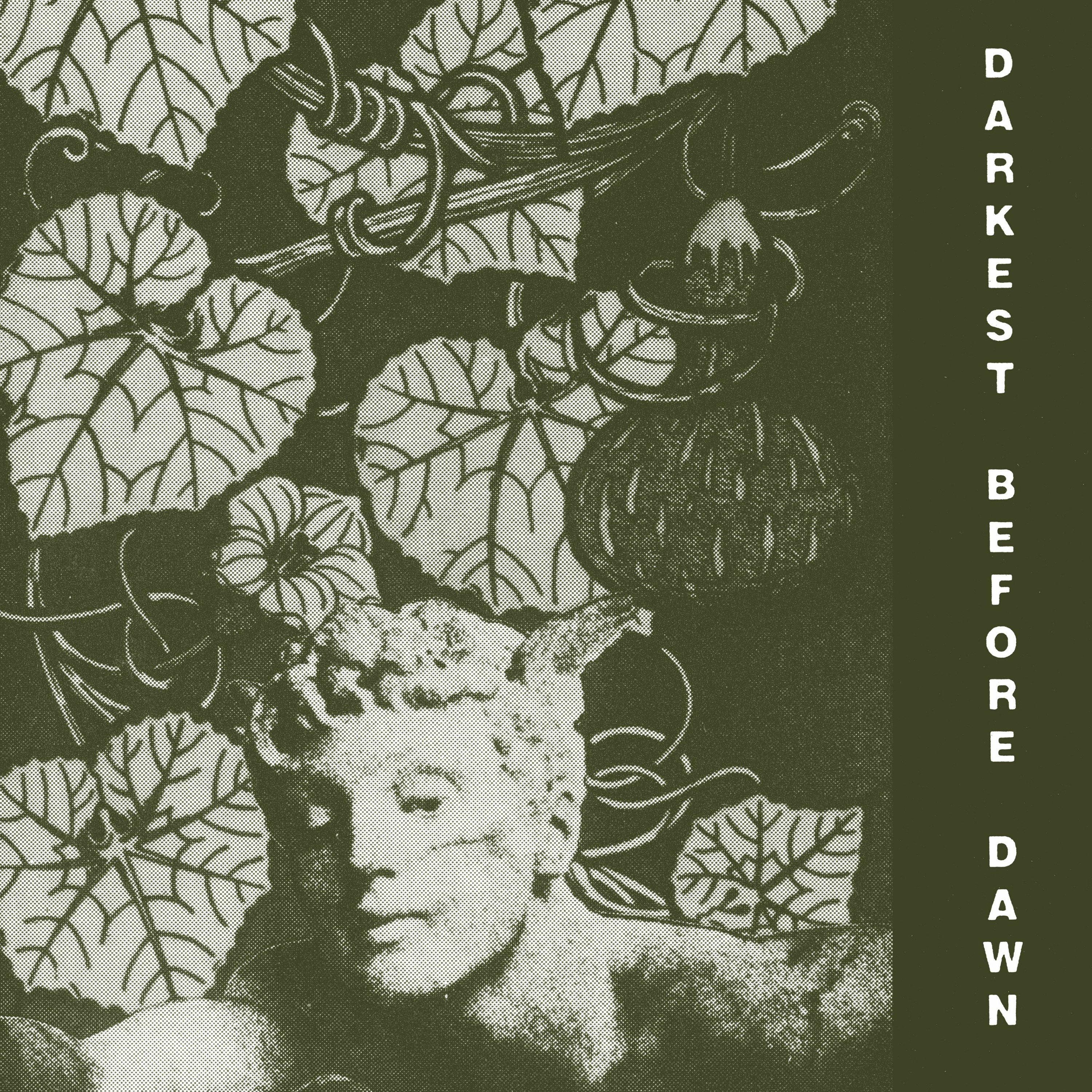 darkentriesrecords