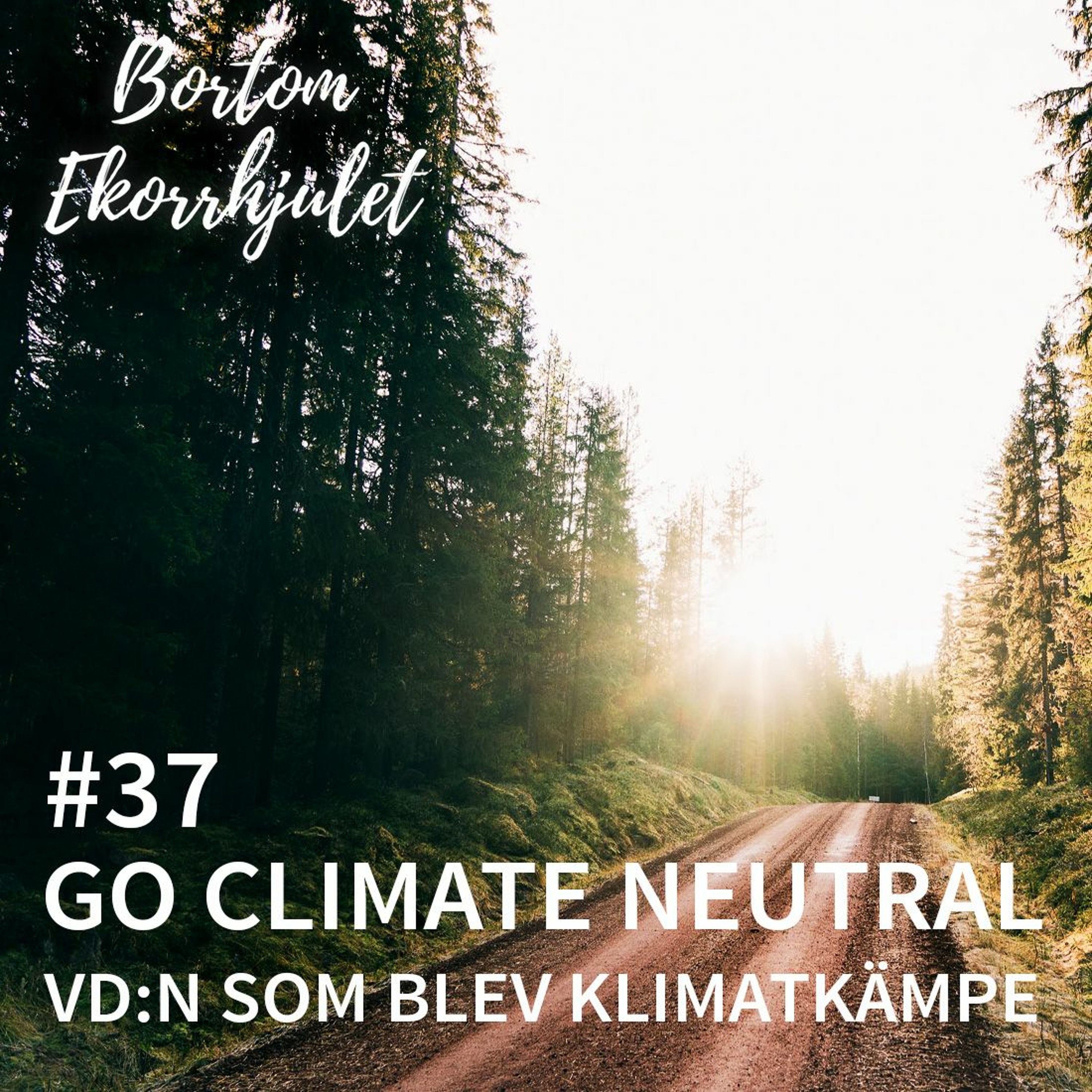 Bortom ekorrhjulet