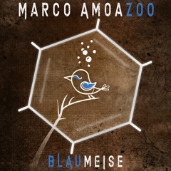 LM011 : Marco Amoazoo - Blaumeise (Original Mix)