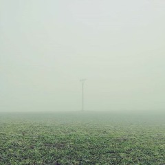 keiweux - like a splinter in my mind