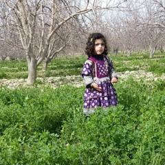 Anil_Bakhsh_New_Tapay_Song_2019_Pashto_New_Song_2019(128kbps).m4a