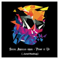 Steve Angello Knas- Pump It Up ( Junst Mashup)