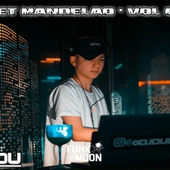 SET MANDELÃO VOL 2 - DJ DUDU