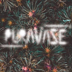 PURAVASE - Another Night