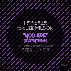 Le Babar, Lee Wilson - You Are Everything (Sebb Junior Remix)