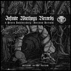 Welcome to The Burrow LP - Infinite Warthogs Records 2 Years Anniversary [IWR_VA01]