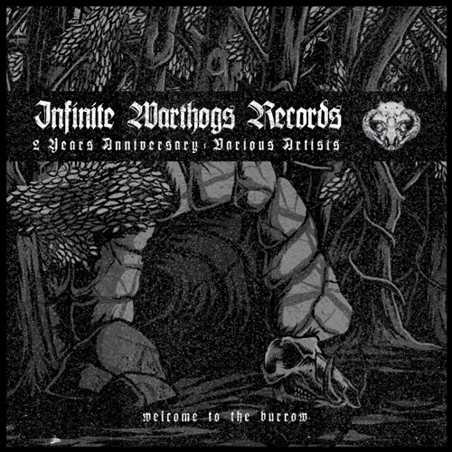 Welcome to The Burrow LP - Infinite Warthogs Records 2 Years Anniversary [IWR_VA01]