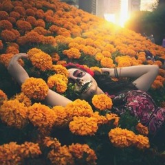 Eagles & Butterflies feat. Coloray - Can't Stop