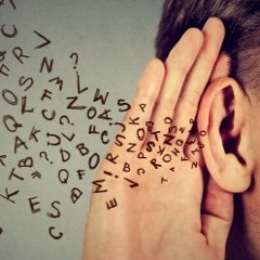 Méta Fort (Preview)