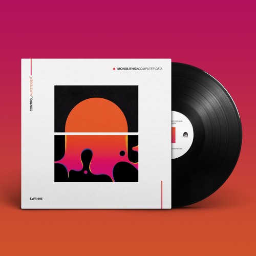COMPUTER DATA - Leer