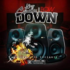 Bow Down (prod. dkproductionsnj)