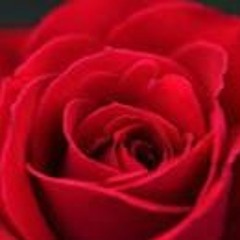 My Love Is Like A Red, Red Rose- Fiona Loader (music), Robert Burns, (poetry)