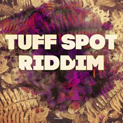 Tuff Spot Riddim (Audio)(D Carter Sounds)