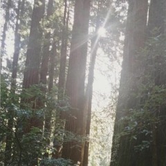 You and I - Original Song