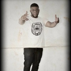 Ty Brazil - Guard Dog