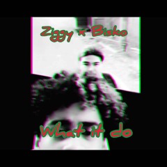 What it do (Ziggy x Palo)