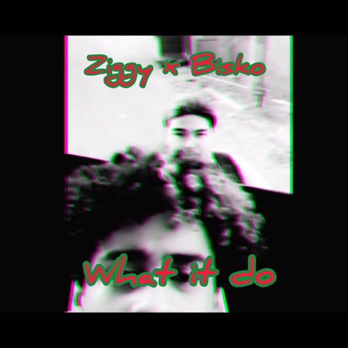 What it do (Ziggy x Palo)