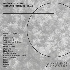 Various Artists - Axaminer Sampler vol.6
