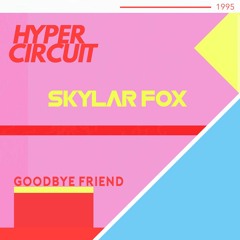 Goodbye Friend (ft Hyper Circuit)