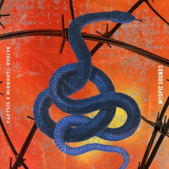 CAPTSIS X MIDNGHT - EVOLVE [FUXWITHIT PREMIERE]