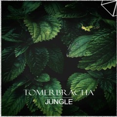 Tomer Bracha - Jungle [Free Download]