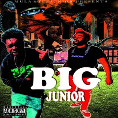 TeeJunior X BigMula - Millyin$
