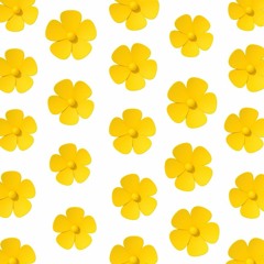 Nightfall @ Boney 19.07.19