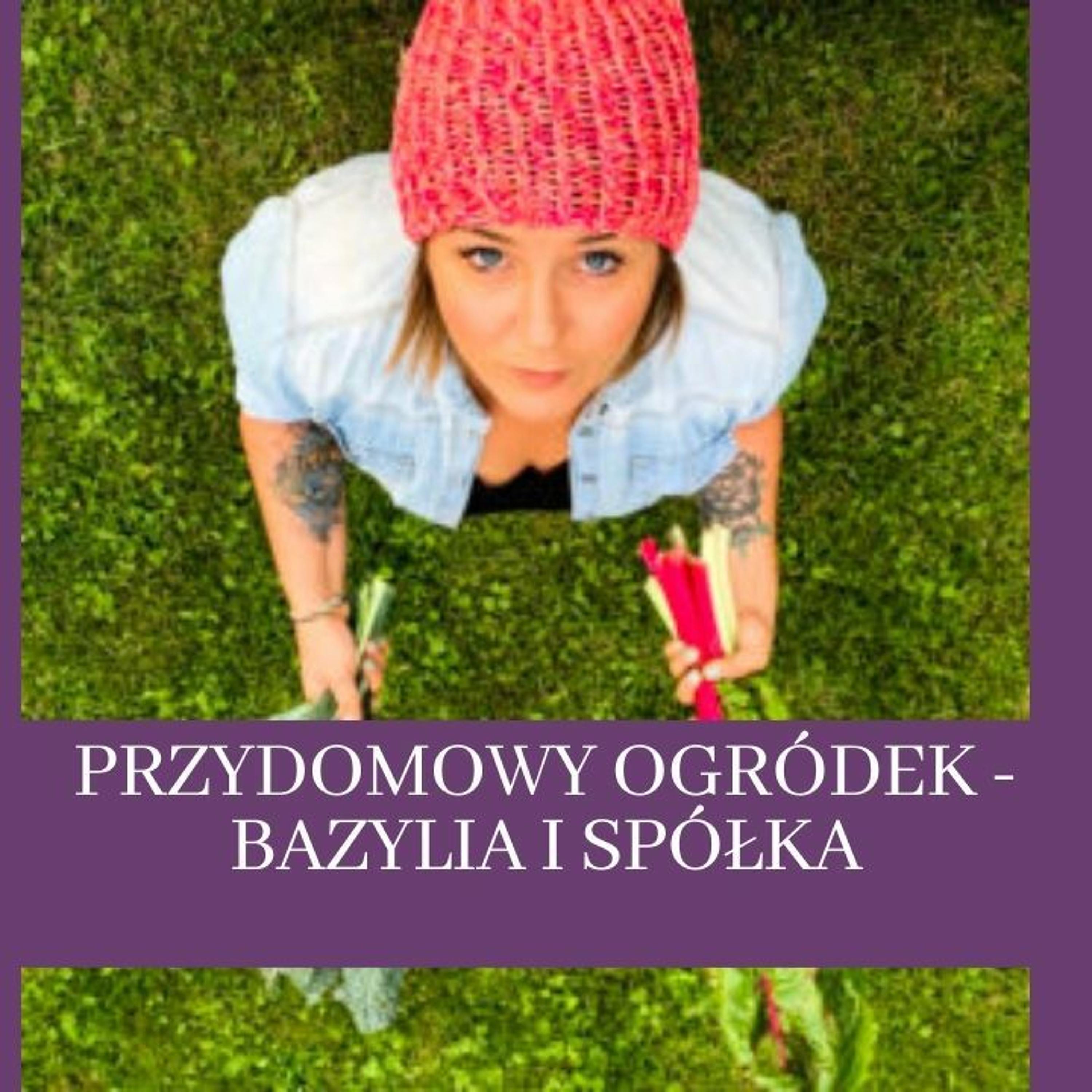 Koza na Lawendzie