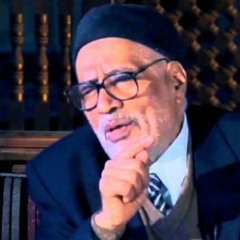 الإحساس باللغة | أ.د. محمد محمد أبو موسى