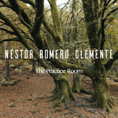 Nestor Romero Clemente - The Practice Room (Chamber Orchestra | TV - Drama)