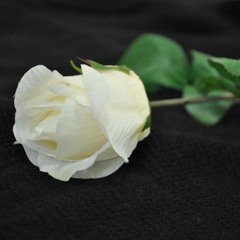 G.Fauré/Pavane Op.50/Arr.by Inae