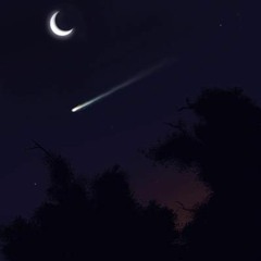 Omar Ríos Meléndez - Shooting Star -Estrella Fugaz