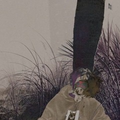 kill ebola - vultures [prod. kill ebola + pulse]