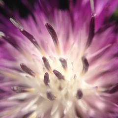 GASNY Psychedelic Festival 2019 ~ MASHU Live YOGA soundtrack (1 hour)