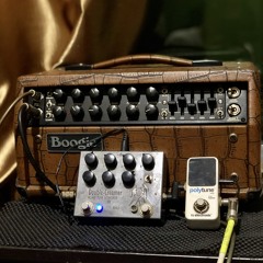 SRV - Testify (cover by KS Aji)