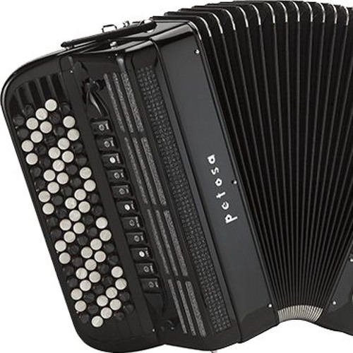 Accordion organ 2024