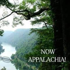 "Now, Appalachia" Interview with Poet January Gill O'Neil