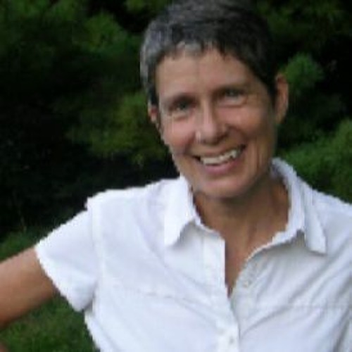 2019 - SAP Annual Lecture: Sarah Buss, 'The Limits of an Ethics that Can Be Applied'