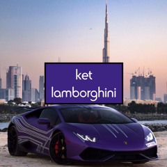 Honey & Badger x Skrillex & Rick Ross x Tom Budin - Ket Lamborghini (Duma Mash)