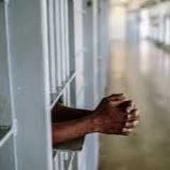 Ready or Not freestyle