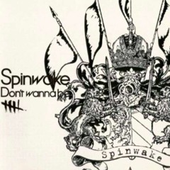 Don't wanna be - Spinwake